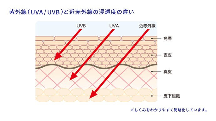 紫外線（UVA/UVB）と近赤外線の浸透度の違い
