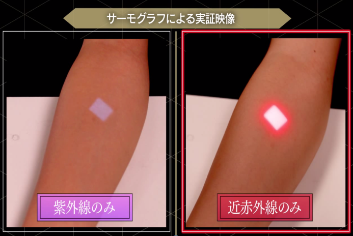 サーモグラフによる実証映像の画像