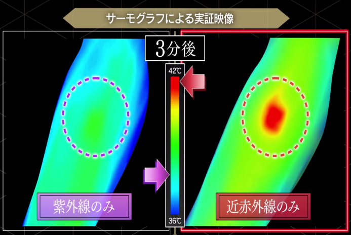 サーモグラフによる実証映像の画像
